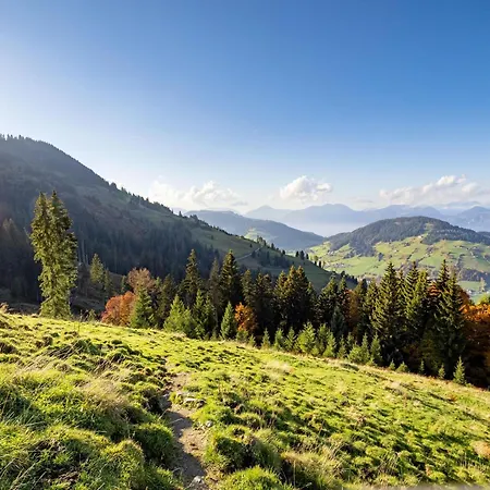 Bergzeit Wildschoenau